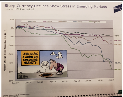 Sharp Currency Declines in Emerging Markets Dec 17-Aug 18.PNG